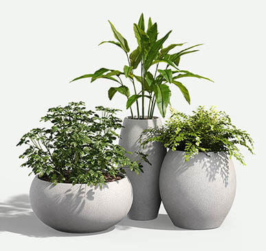 Large Commercial Planters for Outdoor & Indoor