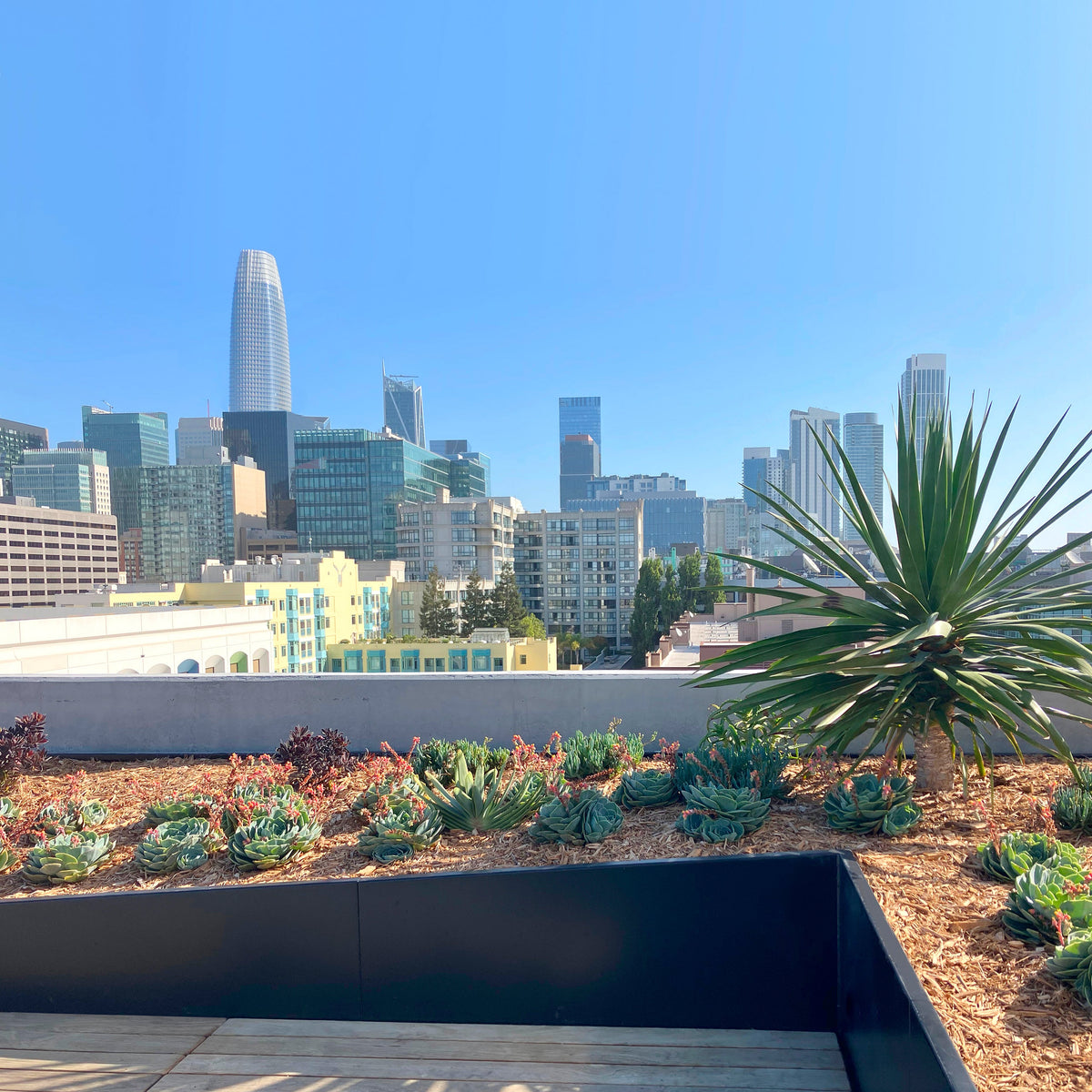 A Pioneer in Urban Landscapes