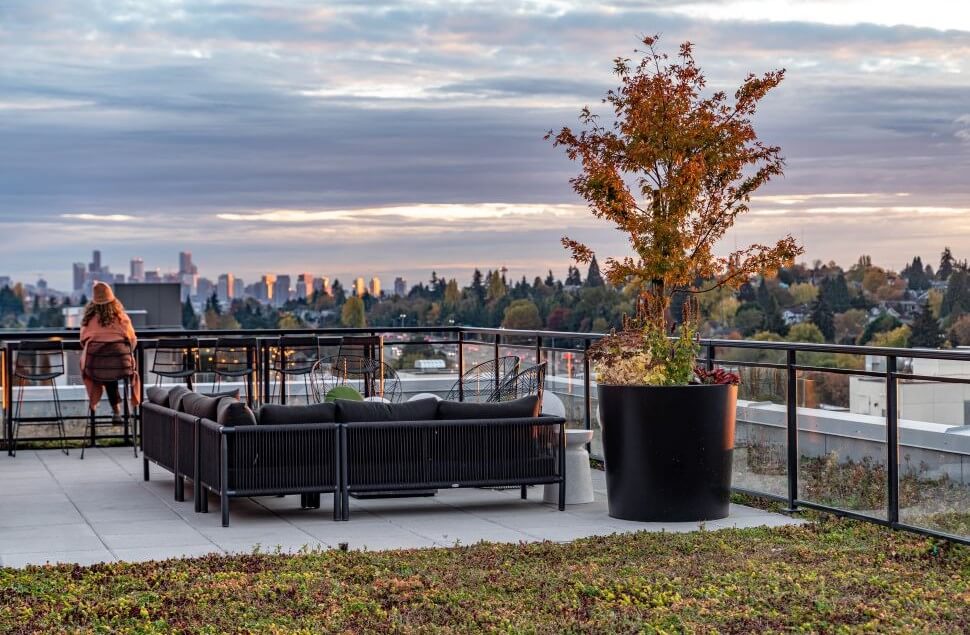 Commercial Trends Shaping Outdoor Spaces in 2025