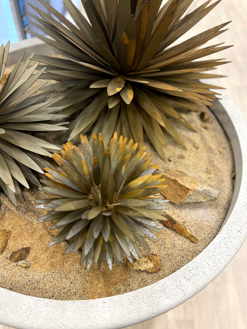 Desert Steel Steals the Show