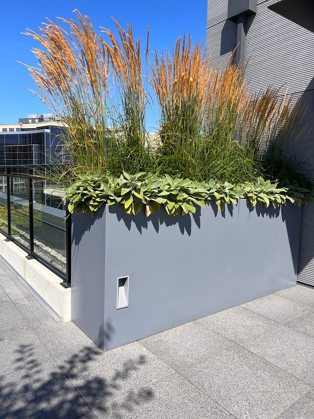 Bioretention Form & Function