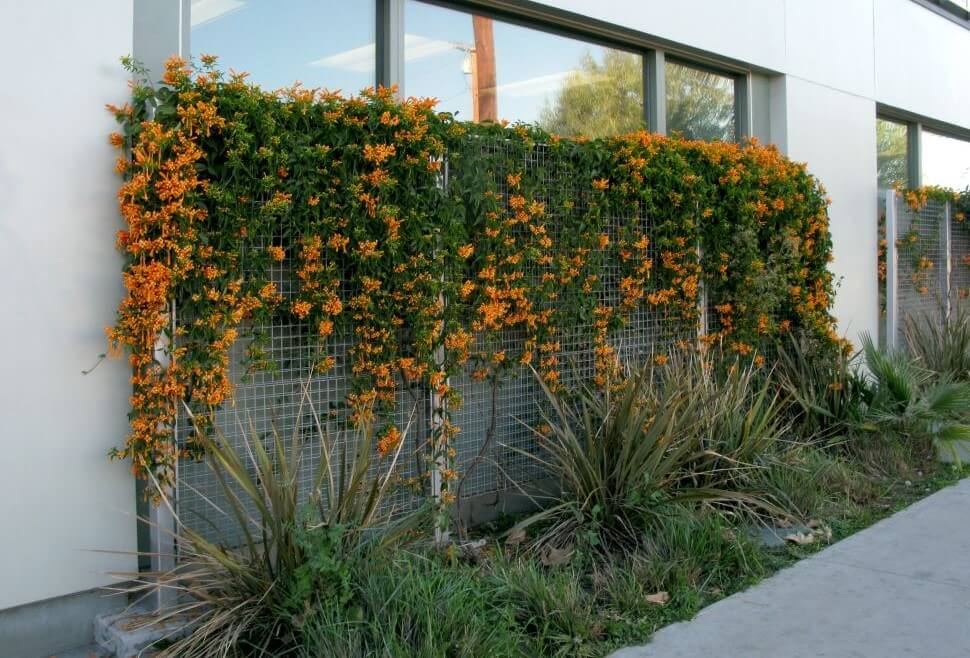 Incorporate Well-Being Into Your Building’s Framework