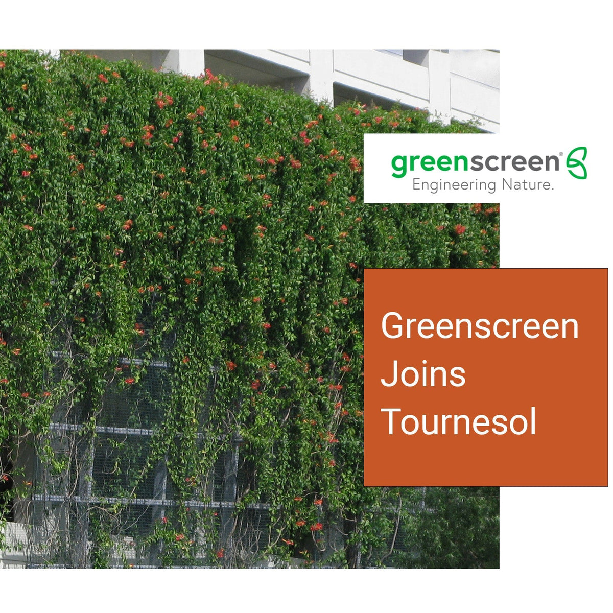 Greenscreen® Joins Tournesol