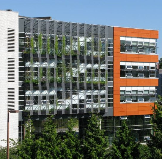Is Biophilic Design Always Green?