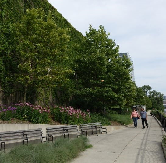 The Amazing History of Green Infrastructure