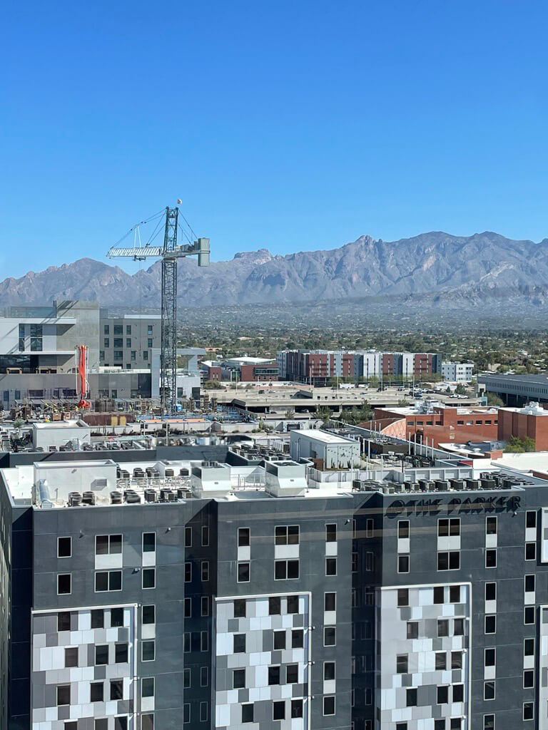 'Turning Gray Into Green': Maximizing Rooftops For Sustainable, Long-Term Value