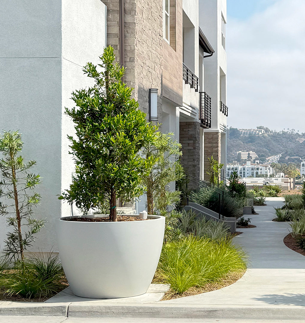 Commercial Concrete Planters