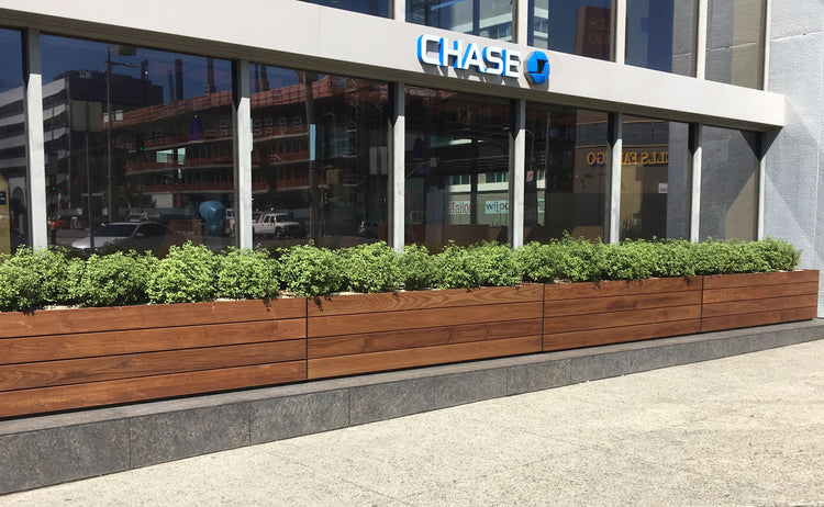 Introducing Our Commercial Wood Planter and Pot Collection