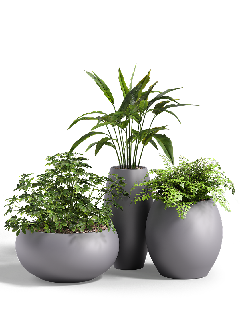 Aquarian Planter, FRP Round