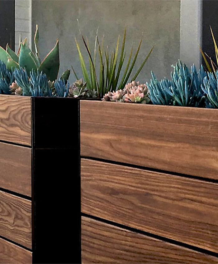 Wood  - Enduring Beauty