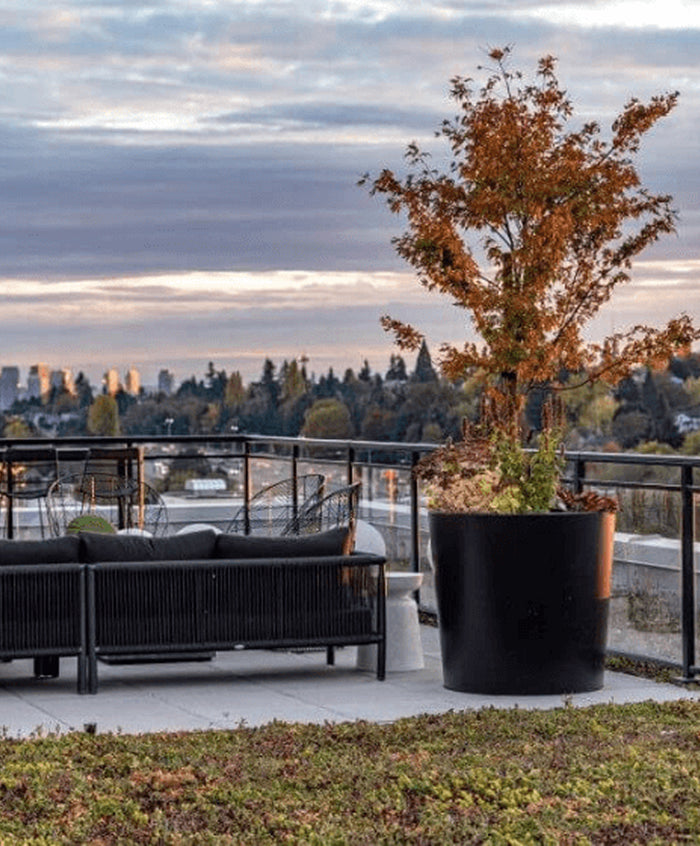 Commercial Trends Shaping Outdoor Spaces in 2025