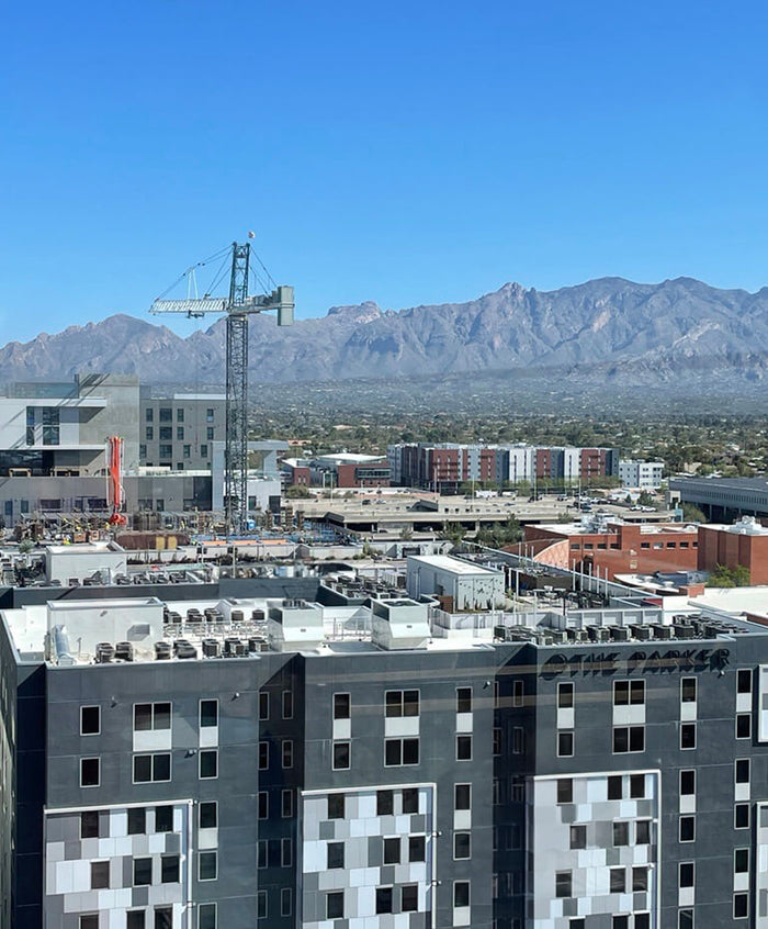 'Turning Gray Into Green': Maximizing Rooftops For Sustainable, Long-Term Value