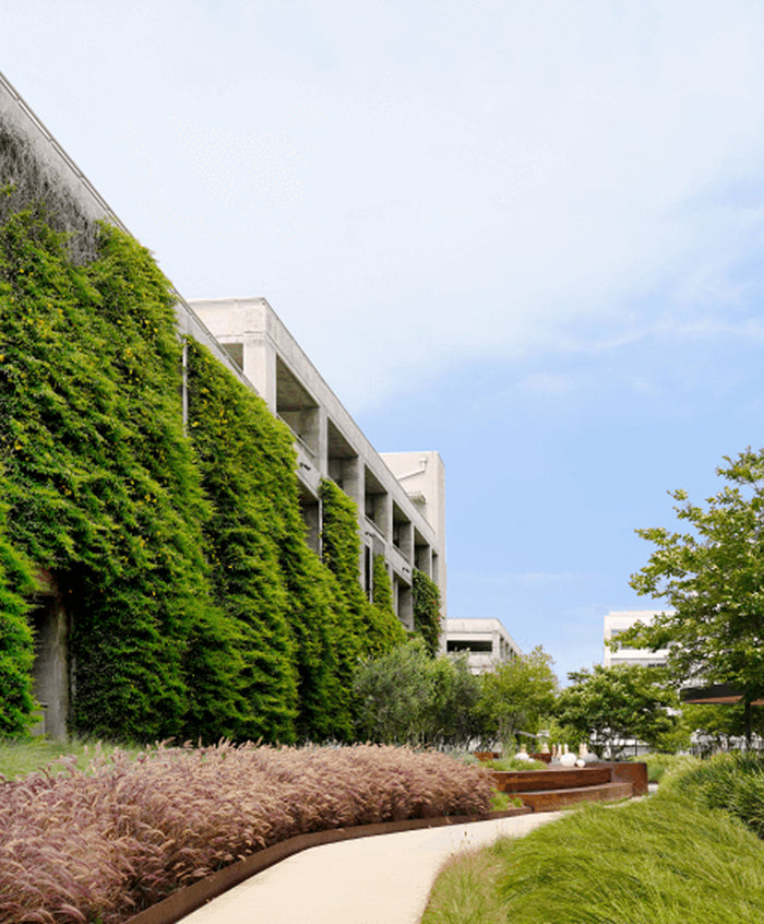 Greening the Scenery–The Bluffs at Playa Vista Parking Structure