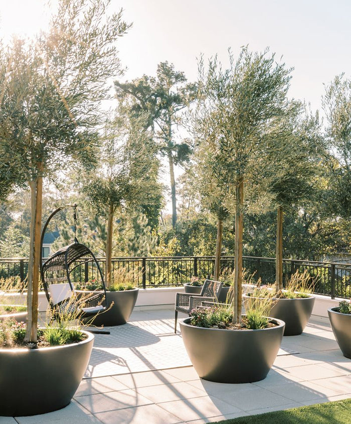 Create the Ultimate Outdoor Hospitality Experience