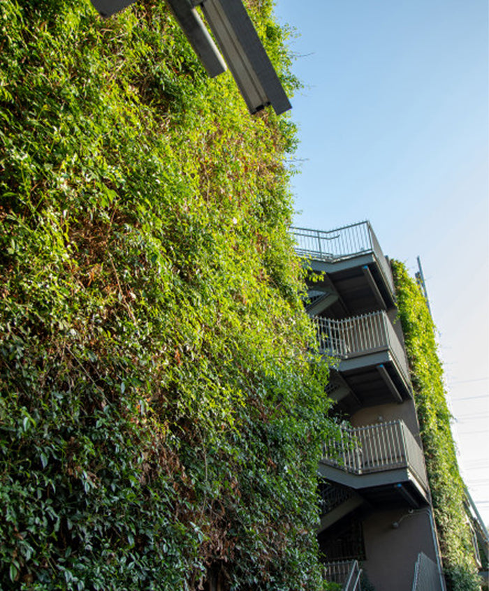 Green Design: Plant Characteristics