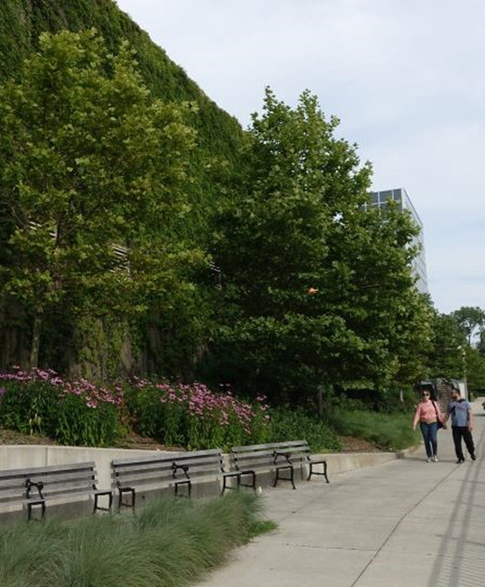 The Amazing History of Green Infrastructure