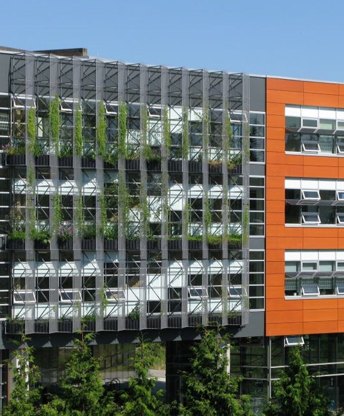 Is Biophilic Design Always Green?