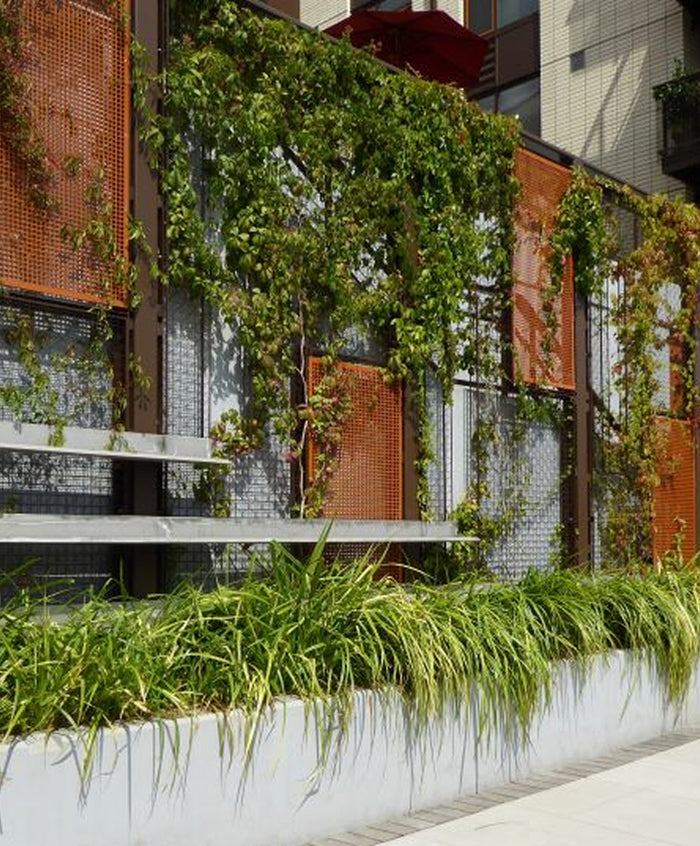 Artificial Plants vs. Green Infrastructure