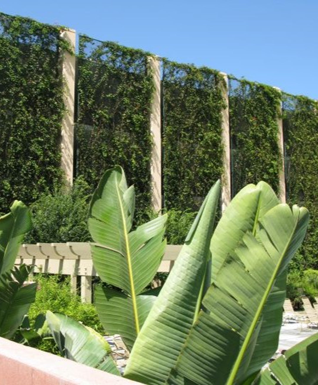 Air Pollution Can Be Mitigated Using Green Infrastructure