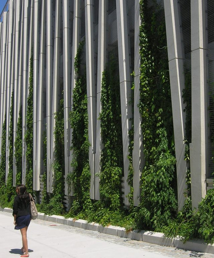 A Comparison Between Green Infrastructure Policies in the United States and the European Union