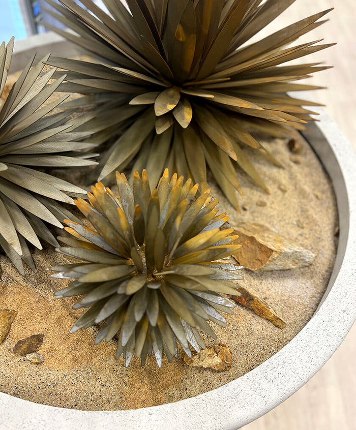 Desert Steel Steals the Show