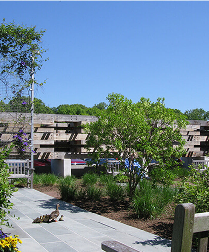 Green Infrastructure - The Road to Increased Urban Biodiversity