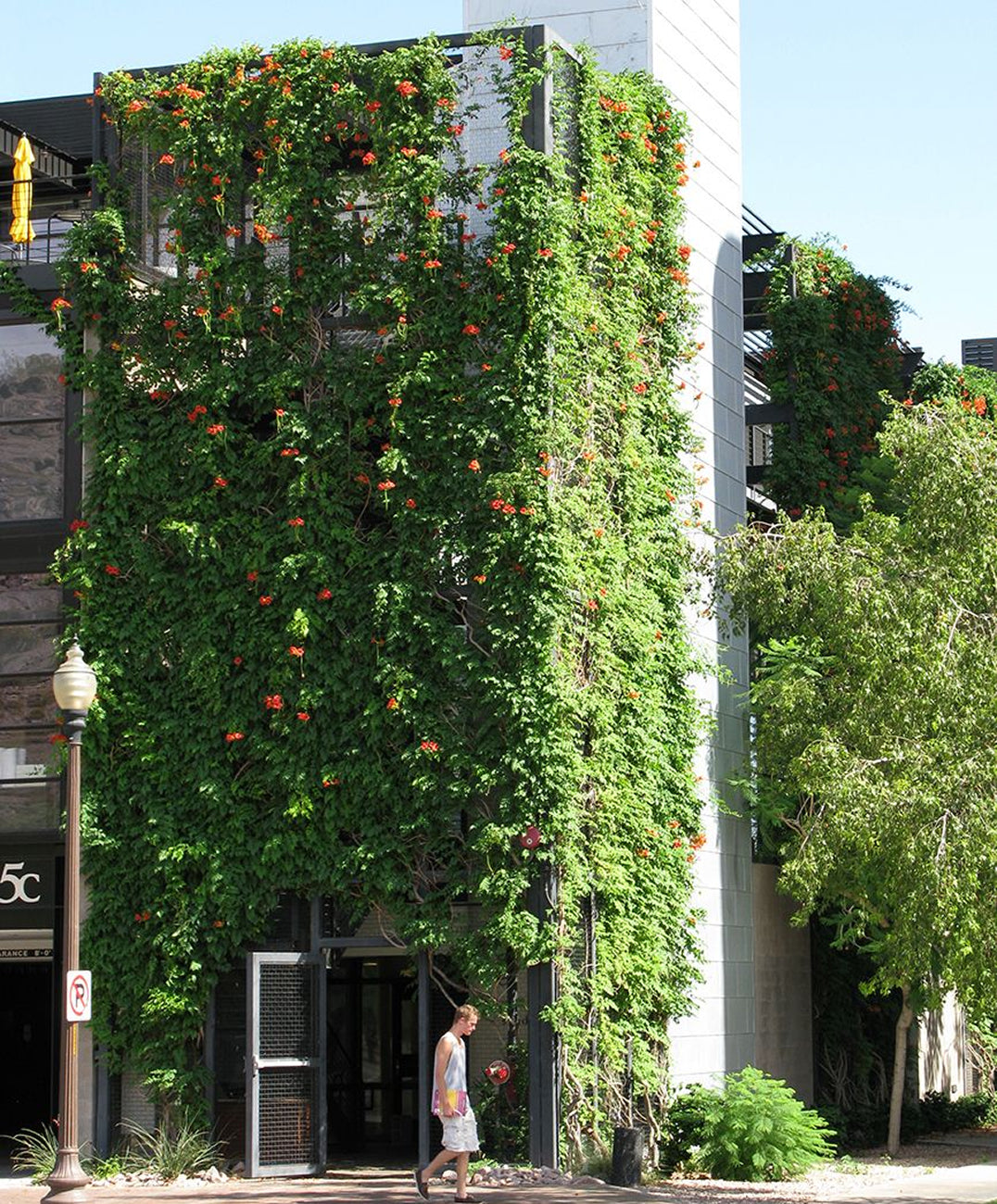 Greenscreen® Joins Tournesol