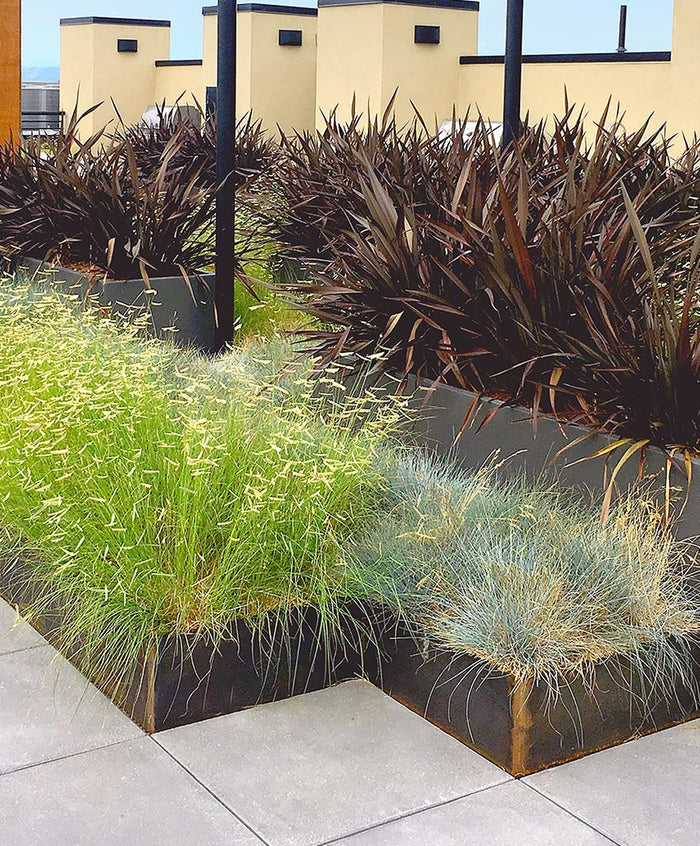 Success Starts Here
