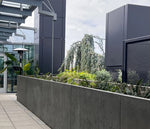 Bioretention Planter, GFRC additional image 1
