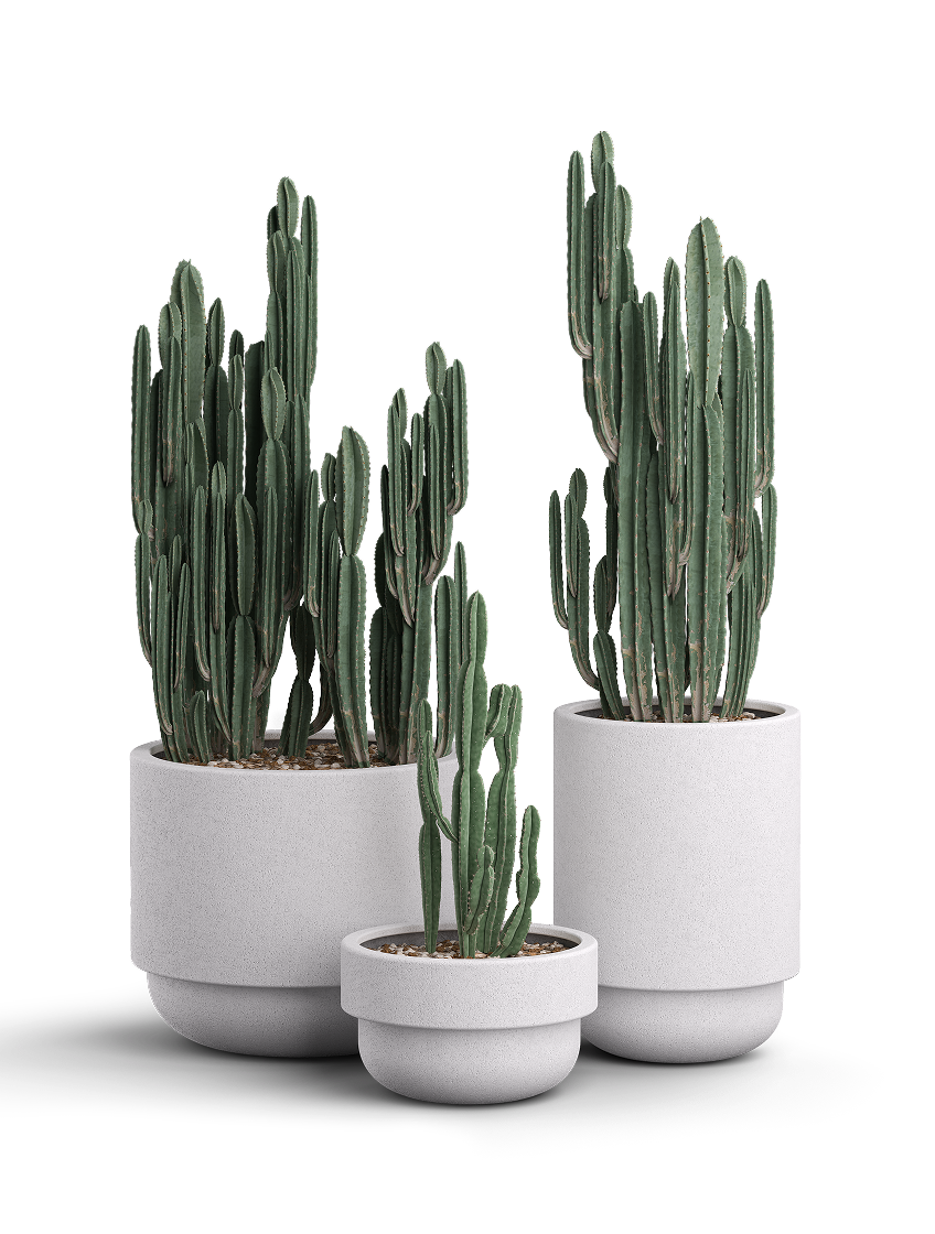 Bolinas Planter, GFRC Round