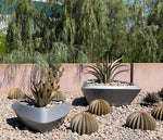 Delta Planter, FRP additional image 2