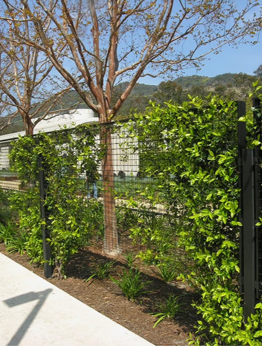 Greenscreen® Fencing