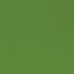 Sample | Powder-Coat Fern