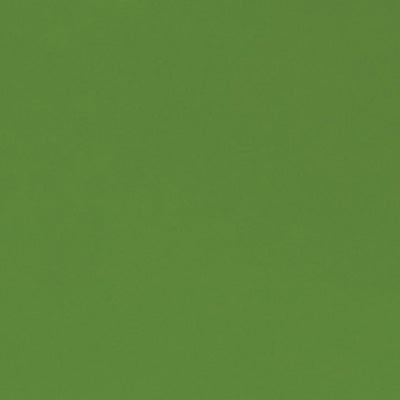 Sample | Powder-Coat Fern