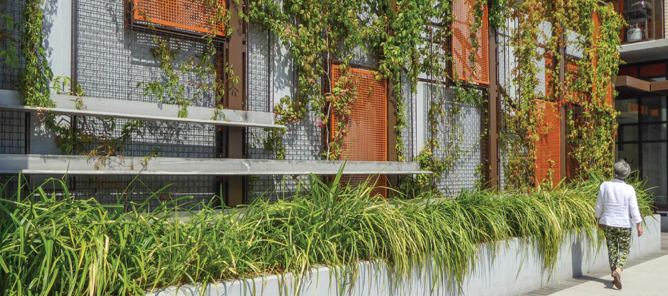 Sustainably transform space with living art 