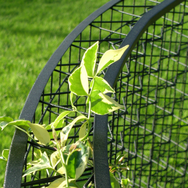 Green Infrastructure
