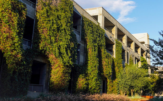Reduce Urban Heat and Air Pollution