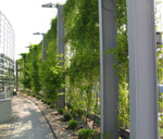 Greenscreen® Infill/Overhead