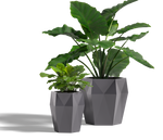Harlie Planter, FRP