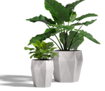 Harlie Planter, GFRC