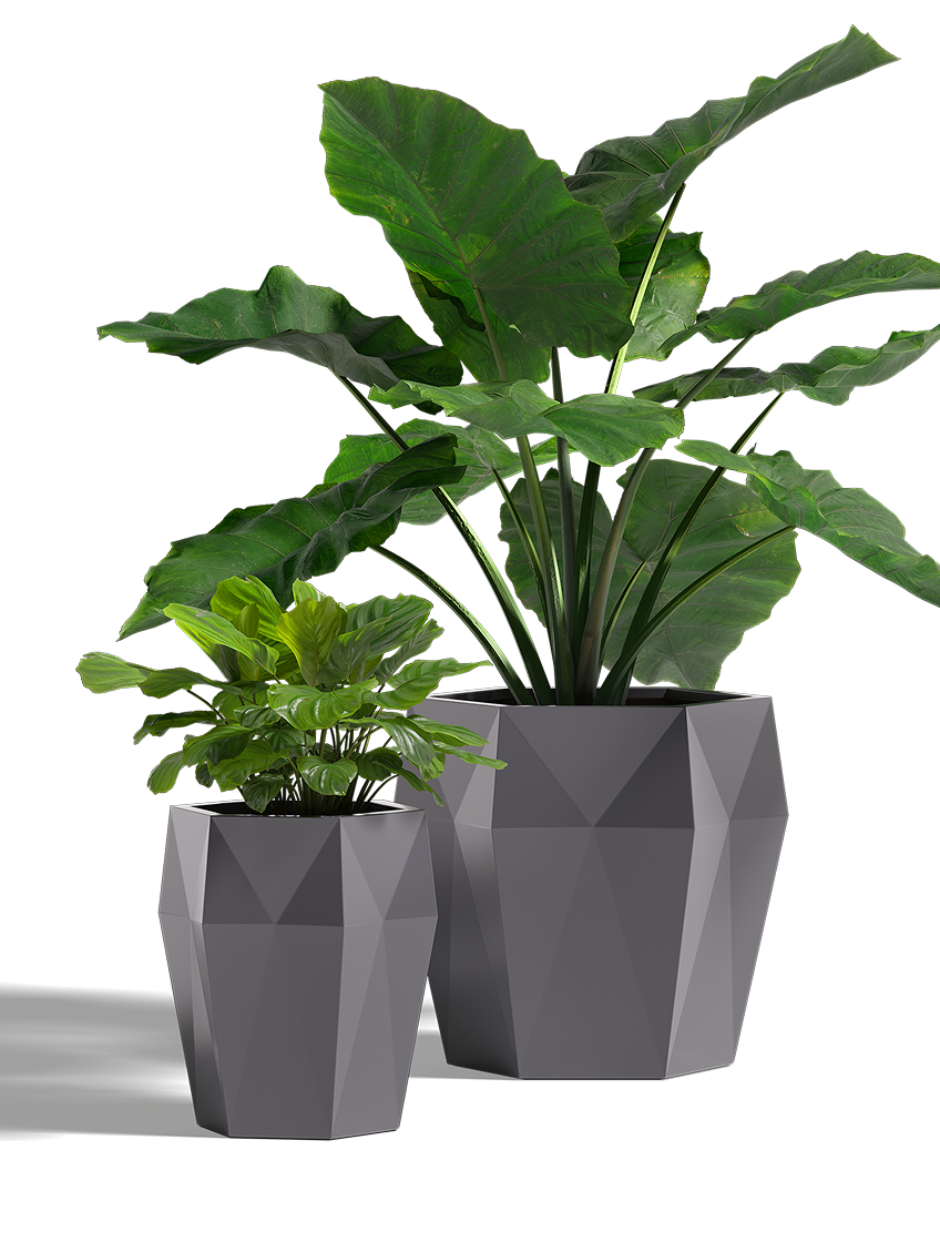 Harlie Planter, FRP