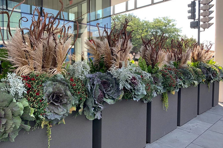 Commercial Planter Material Options