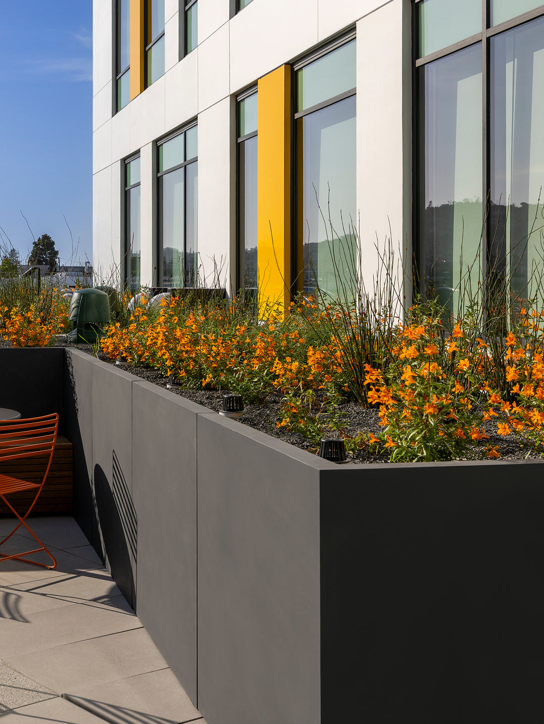 Bioretention