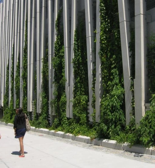Considerations for Advanced Green Facade Design