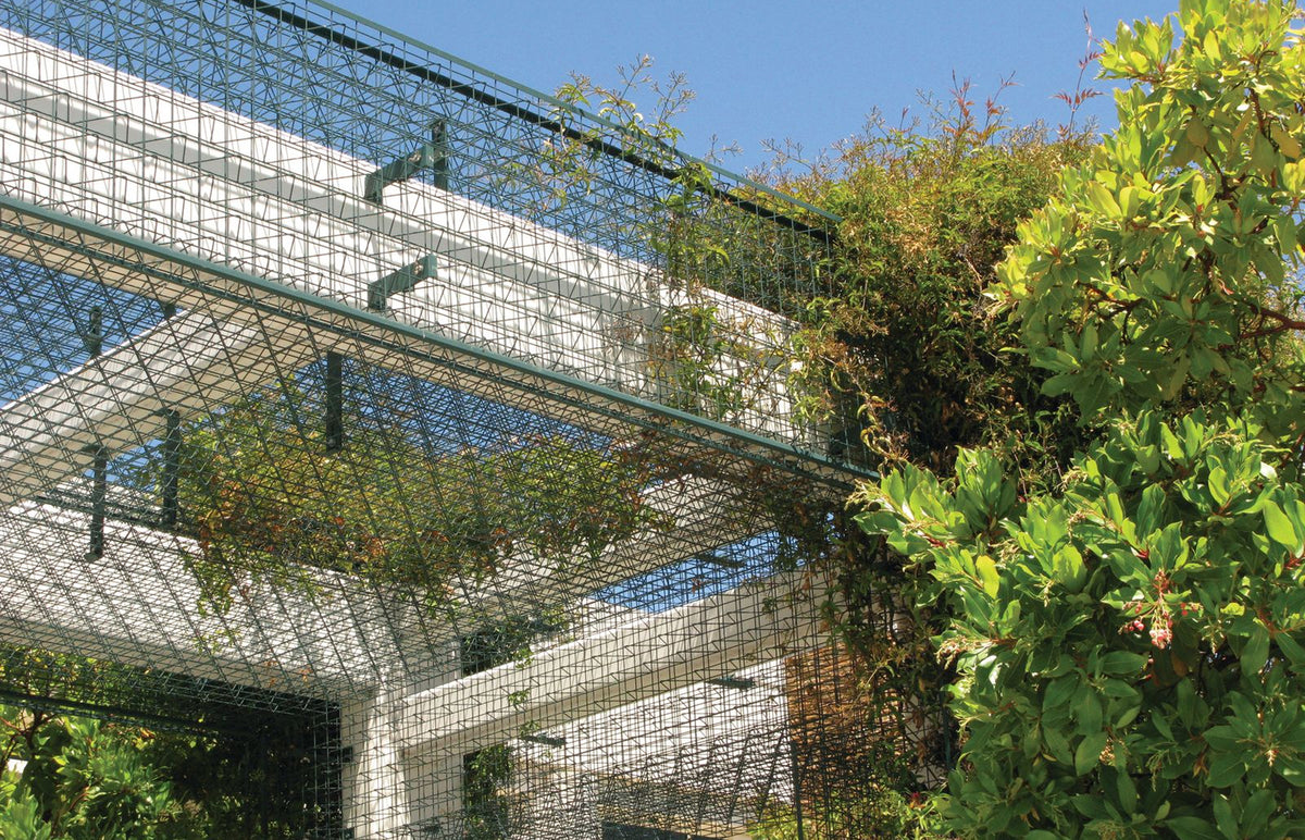 Trellises Wrap and Beautify Camino Medical Group