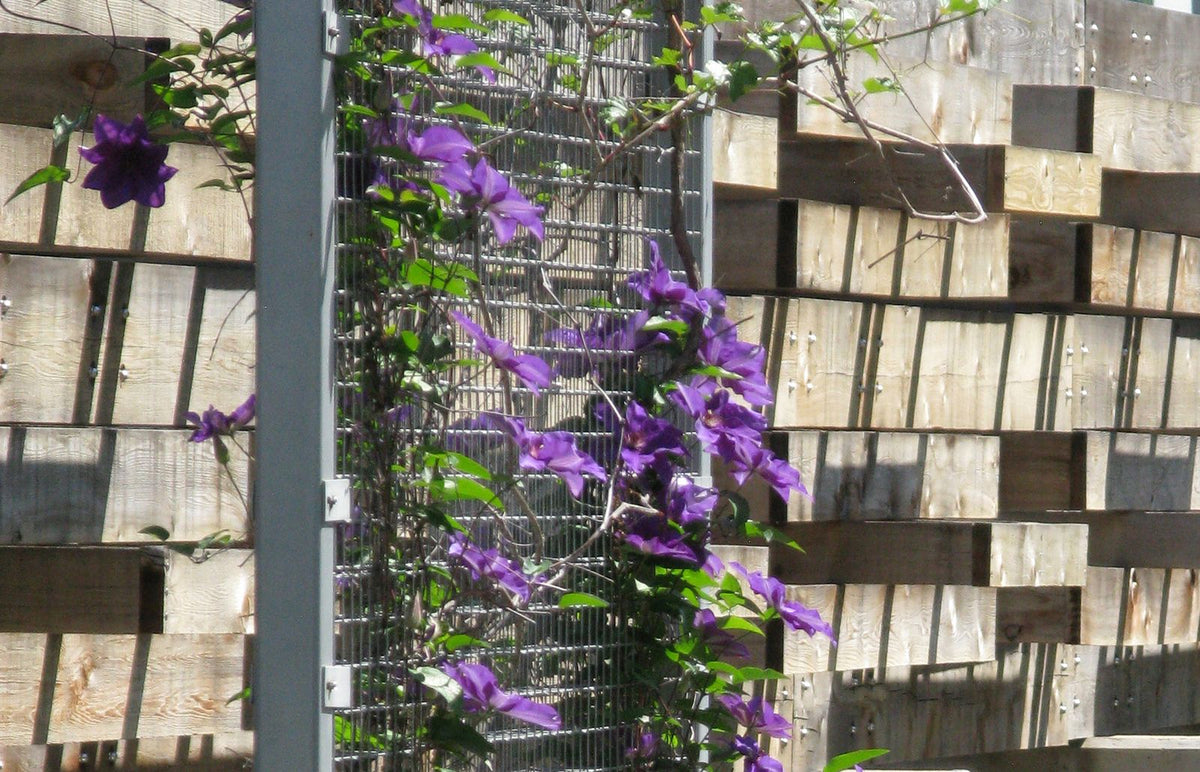 Vertical Green Elements at Holy Cross Hospital