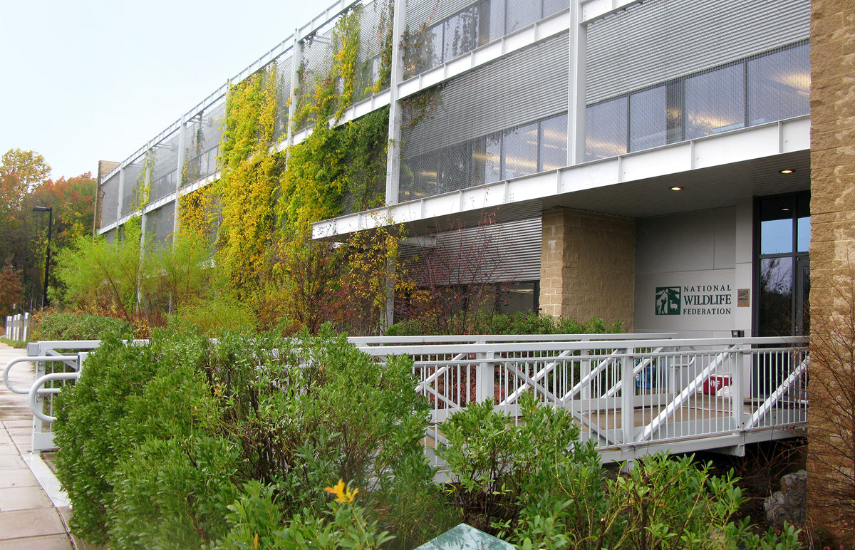 Green Tapestry of National Wildlife Federation Headquarters