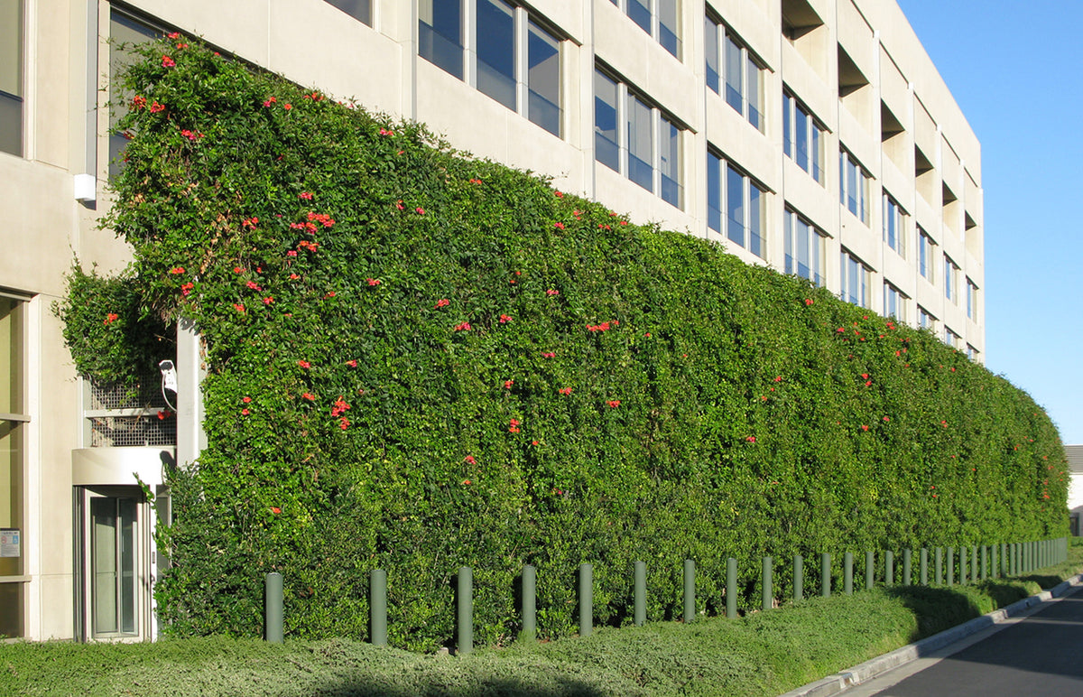 Green Facade Wall Technology - One Premier Place