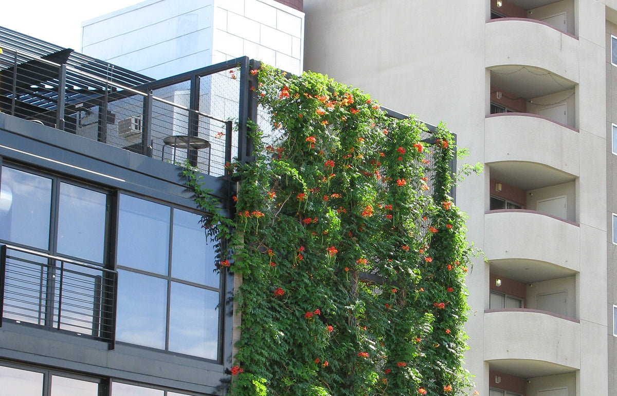 Studios 5c Shade and Trellis Panels