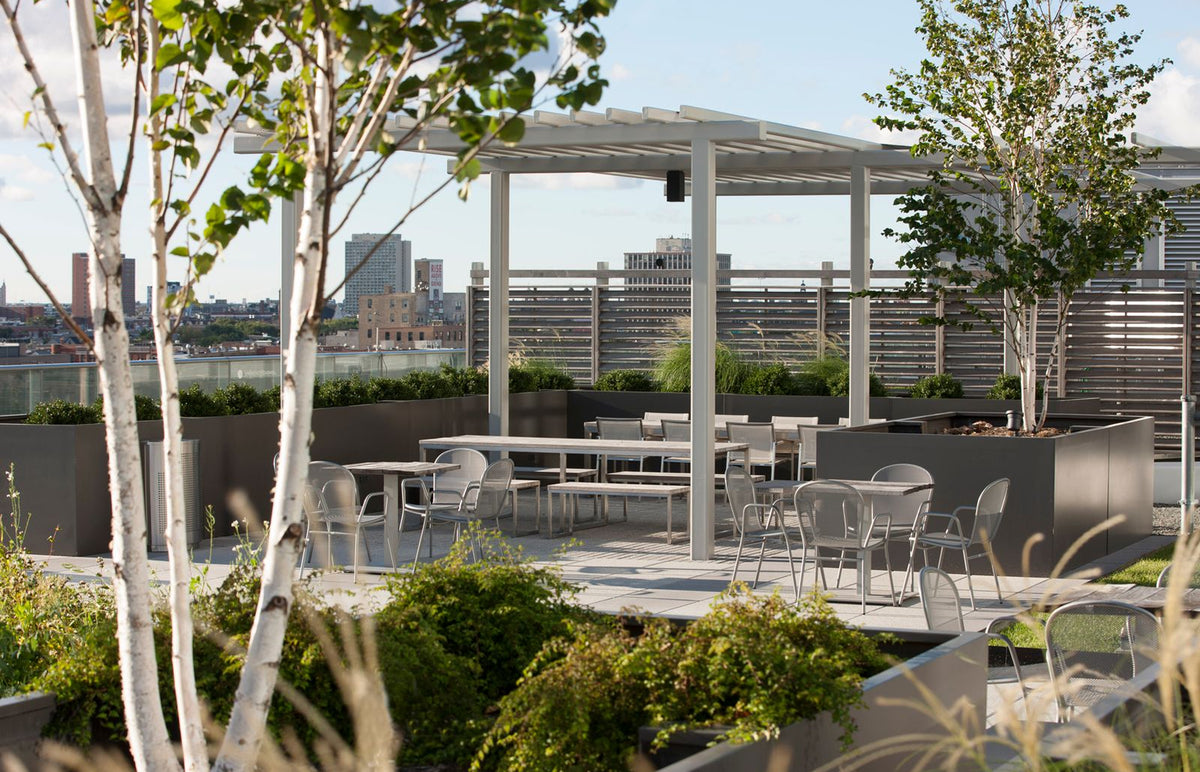 Chicago Rooftop Transformation